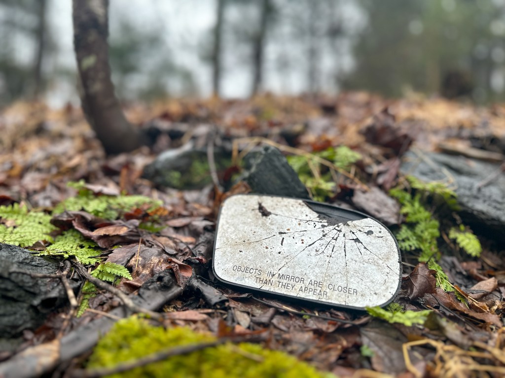 Shattered car mirror lies on mossy forest floor.